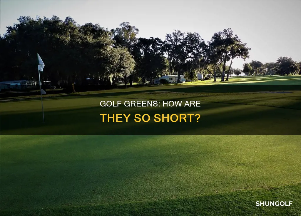 how are golf greens so short