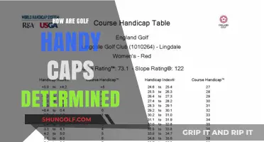 Golf Handicaps: Calculating Your Skill Level