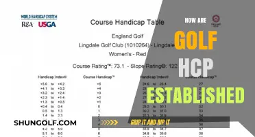 Golf Handicap System: How It Works