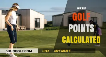Golf Scoring: How Are Points Calculated?