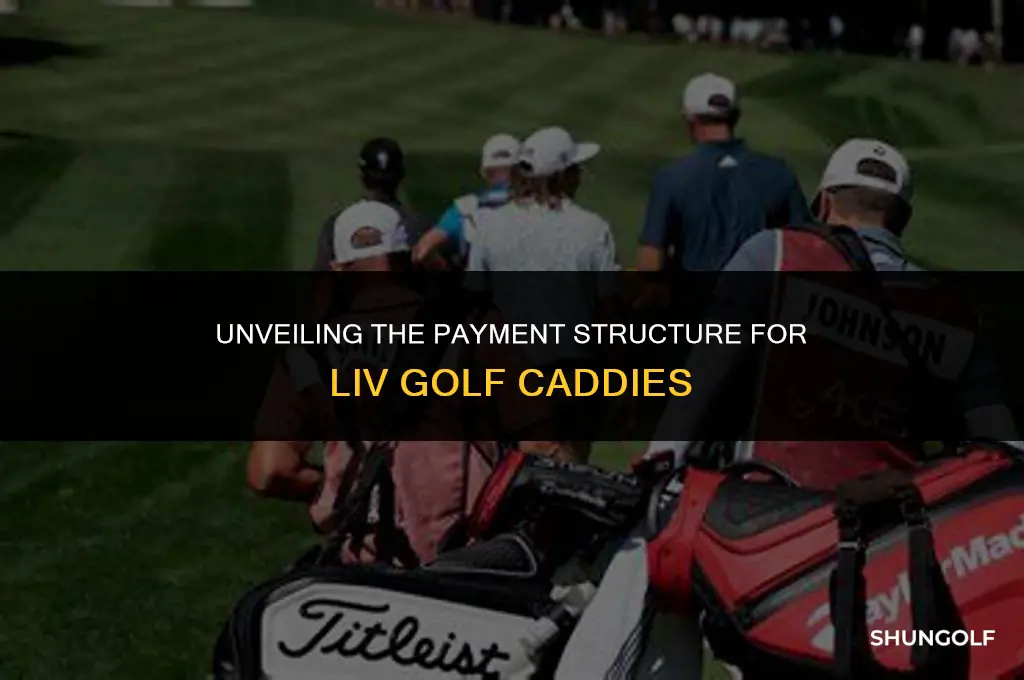 how are liv golf caddies payed