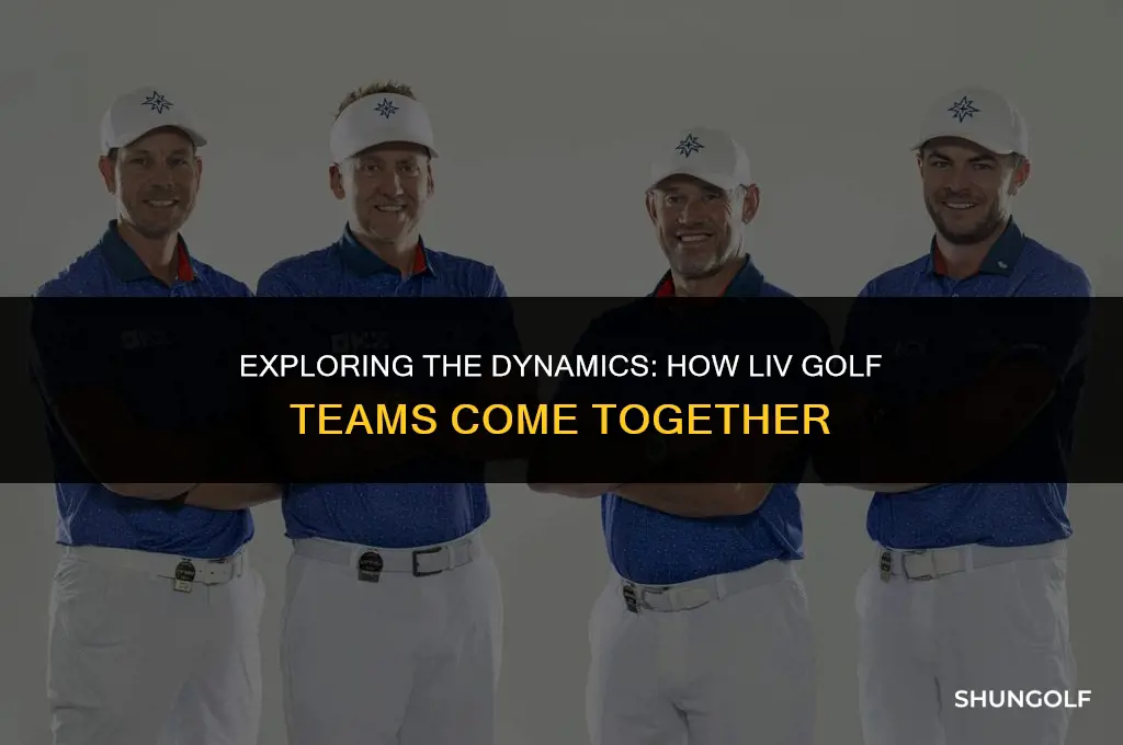 how are liv golf teams formed