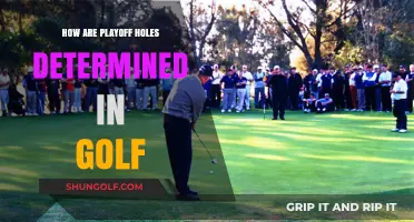 Understanding Golf's Playoff Hole Selection Process and Rules