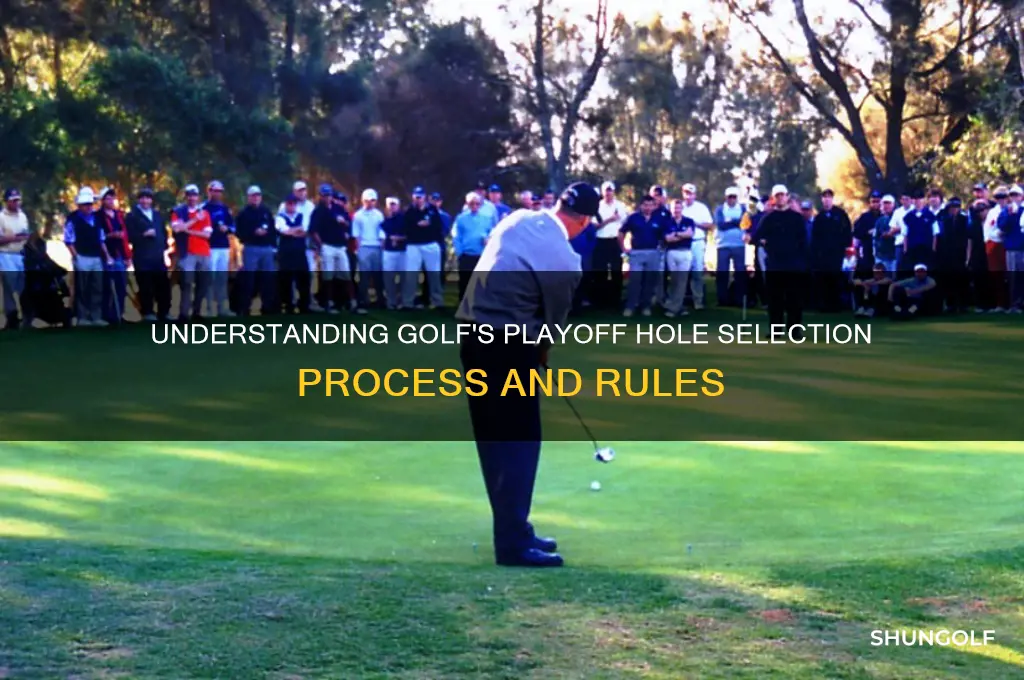 how are playoff holes determined in golf