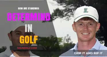 Golf Standings: How Are They Determined?