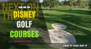 Exploring Disney's Magical Golf Courses: A Hole-by-Hole Adventure