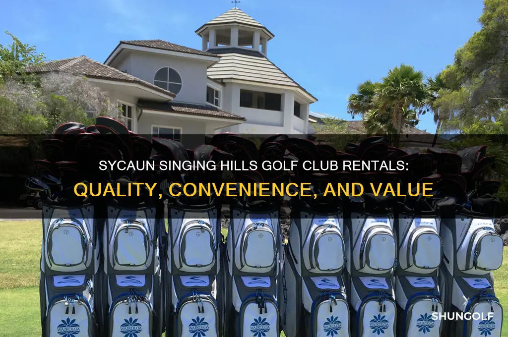 how are the golf club rentals at sycaun singing hills