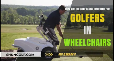 Accessible Golf: How Wheelchair-Using Golfers Choose Specialized Clubs