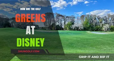 Exploring Disney's Golf Greens: Quality, Maintenance, and Player Experience
