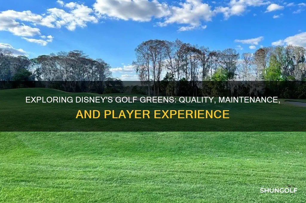 how are the golf greens at disney