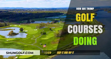 Trump Golf Courses: Performance, Profits, and Public Perception Today