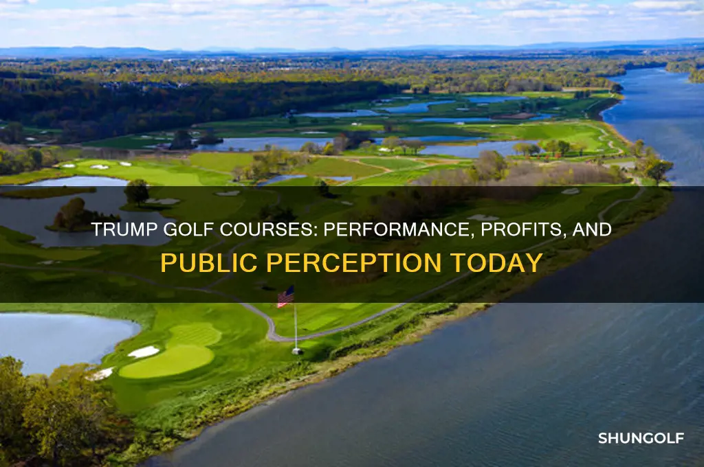how are trump golf courses doing