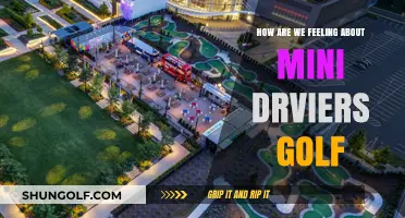 Mini Golf's Rise: Are We Loving the Compact Course Craze?