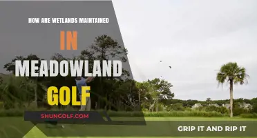 Sustaining Wetlands at Meadowland Golf: Eco-Friendly Maintenance Strategies Revealed