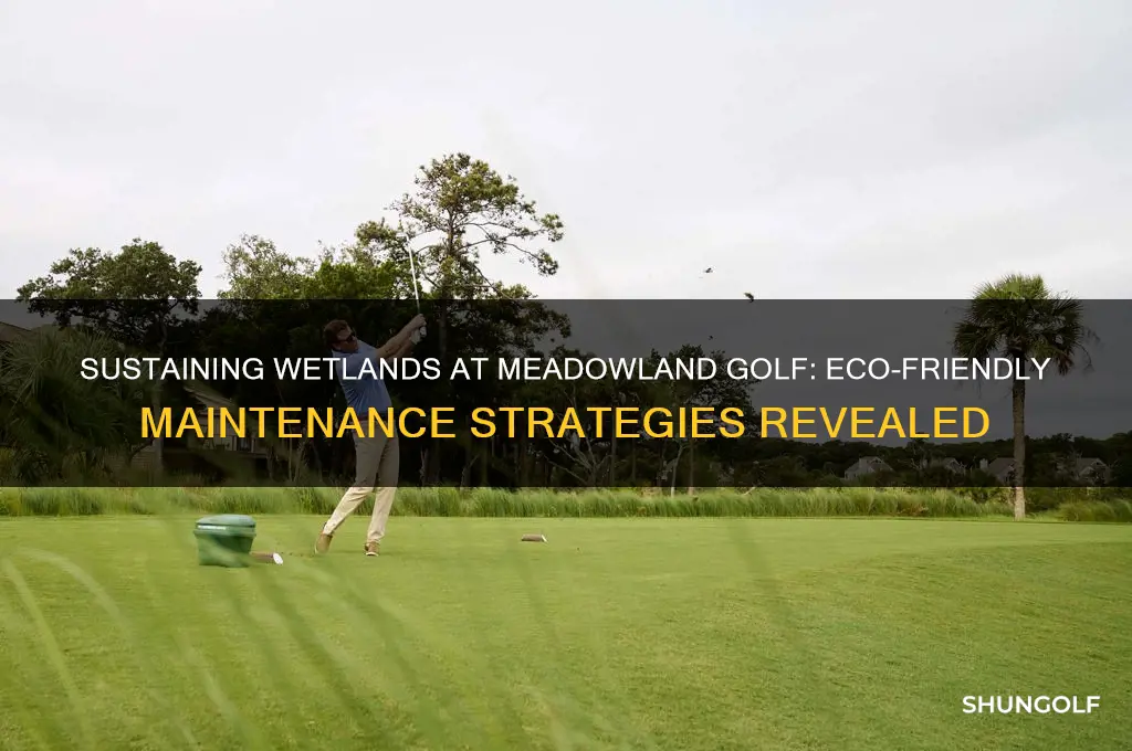 how are wetlands maintained in meadowland golf