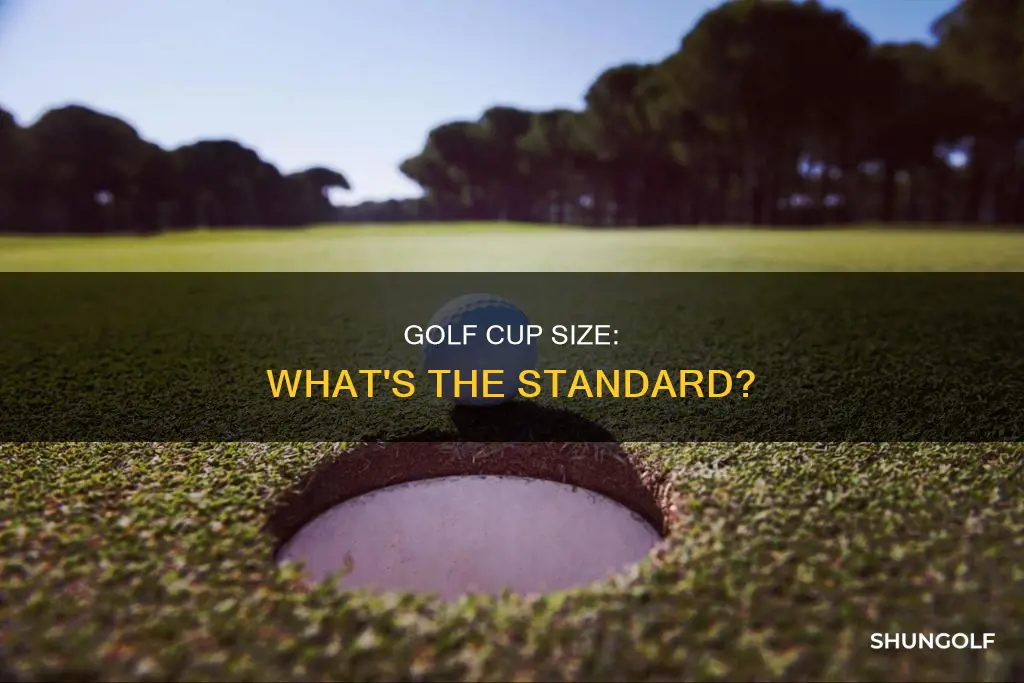 how big golf cup