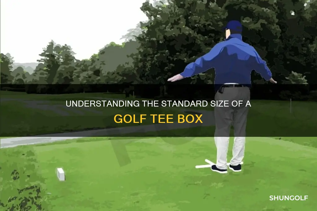 how big is a golf tee box