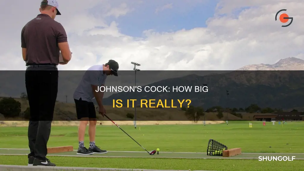 how big is golfer johnsons cock