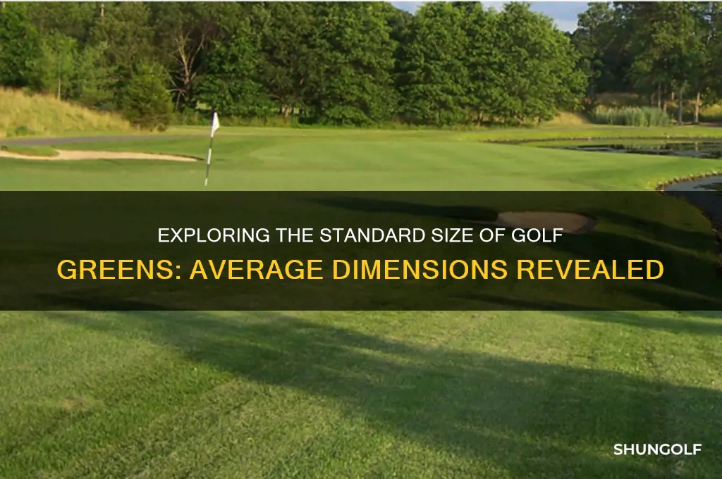 how big is the average golf green