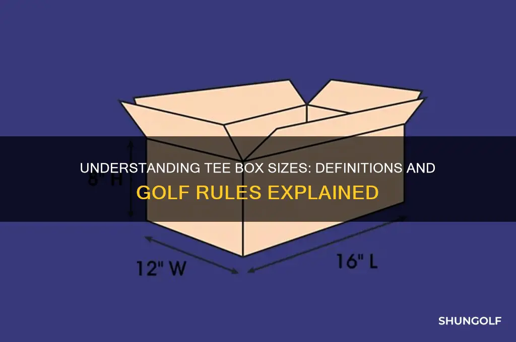 how big is the tee box definitions rules of golf