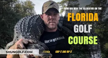 Massive Alligator Spotted on Florida Golf Course: Size Stuns Players
