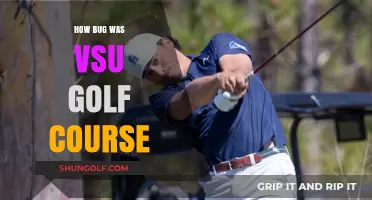 Exploring the VSU Golf Course: A Detailed Review of Its Condition
