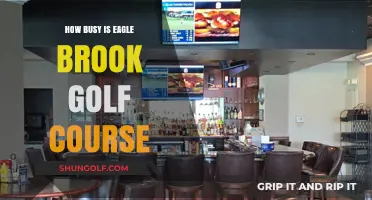 Eagle Brook Golf Course: How Crowded is it Really?