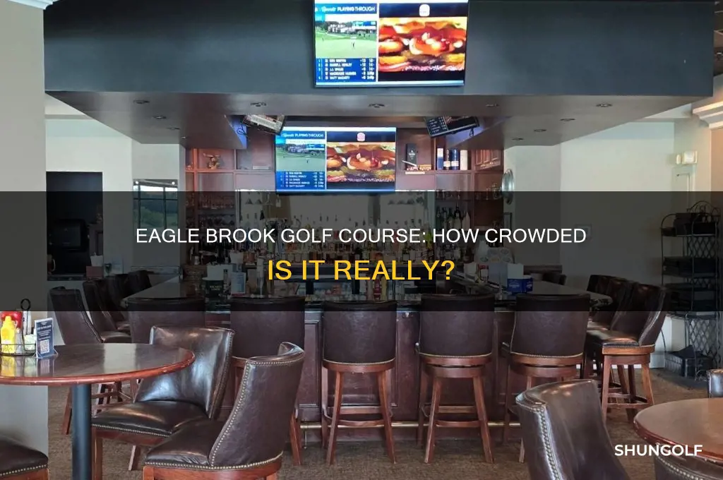 how busy is eagle brook golf course