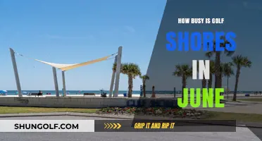 June Crowds at Gulf Shores: What to Expect When Visiting