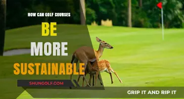 Greening the Fairways: Sustainable Practices for Eco-Friendly Golf Courses