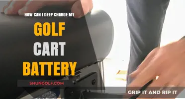 Mastering Deep Charging: Extend Your Golf Cart Battery's Life and Performance