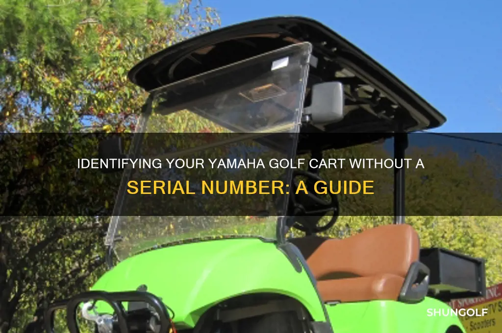 how can i tell what golf cart yamaha no serial