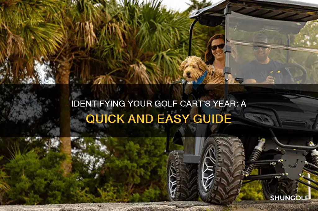 how can i tell what year a golf cart is