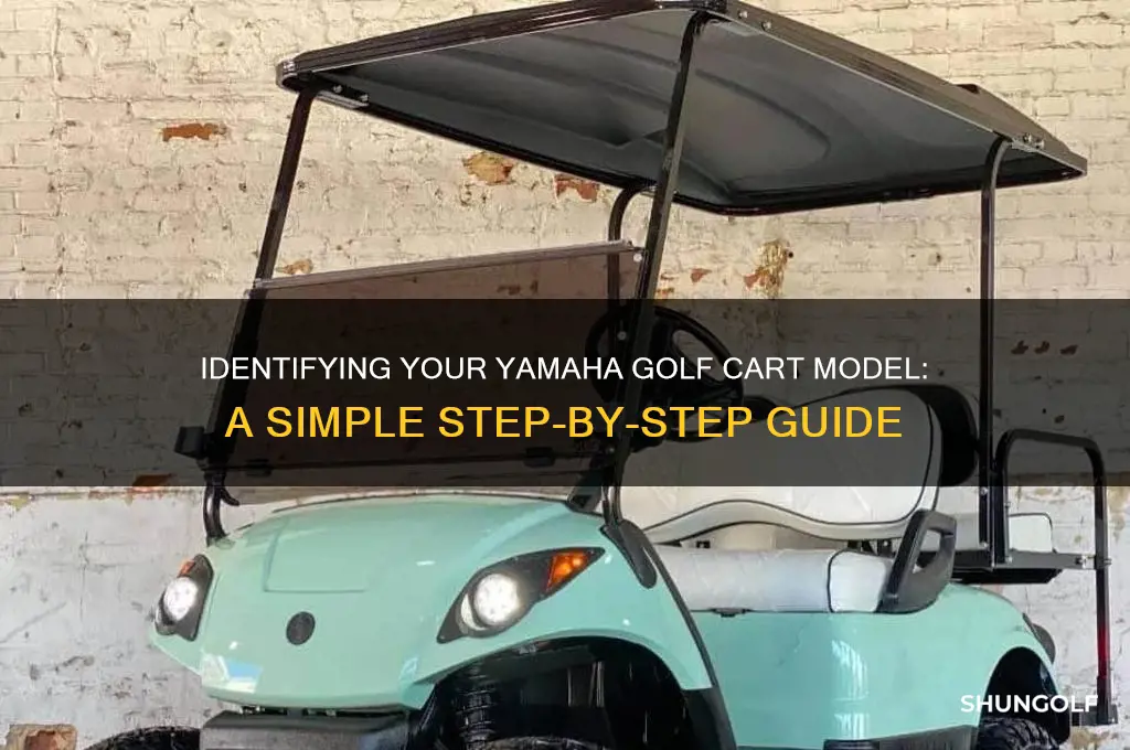 how can i tellwhat model yamaha golf cart i have