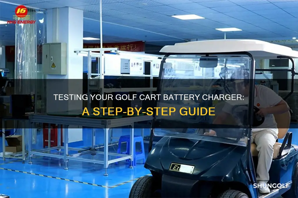 how can i test my golf cart battery charger