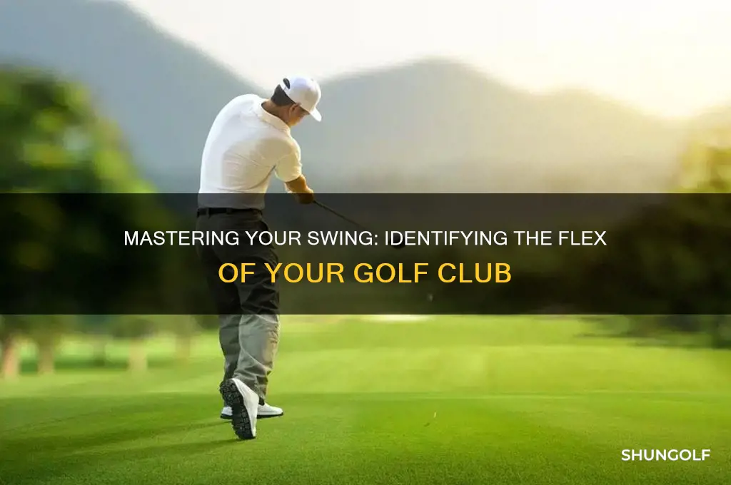 how can you tell the flex of a golf club