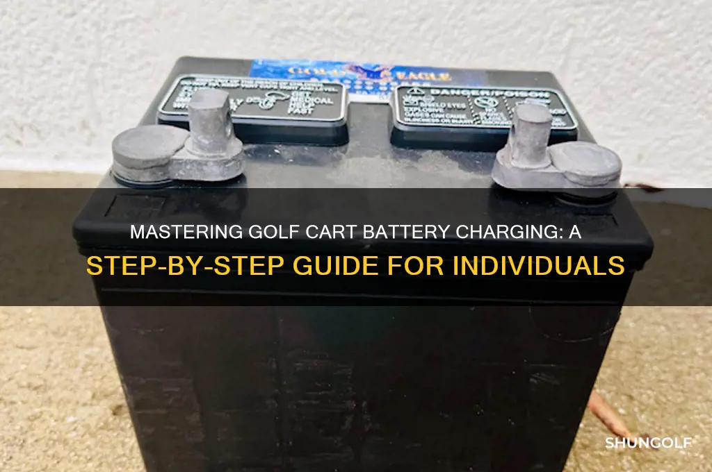 how charge individual golf cart batteries