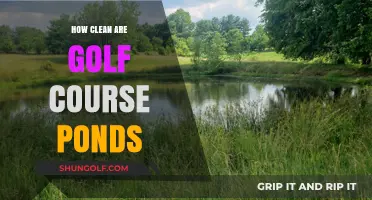 Are Golf Course Ponds as Clean as They Appear?