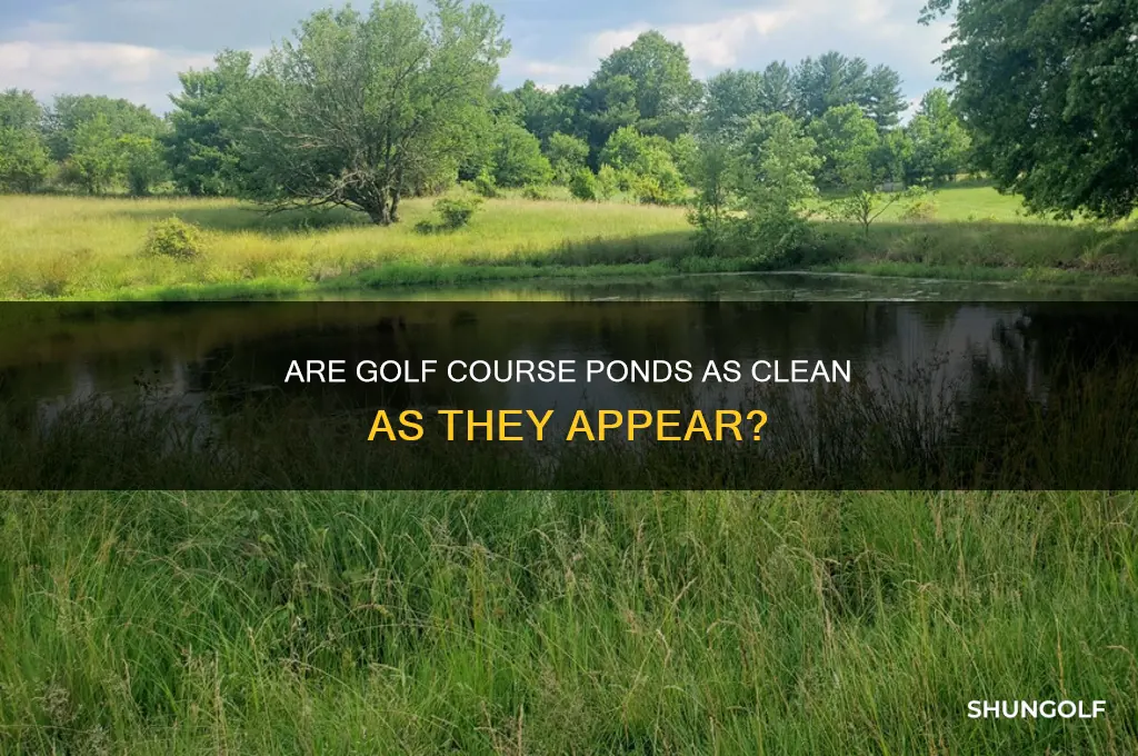 how clean are golf course ponds