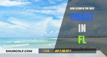 Exploring the Gulf Coast's Cleanliness: Florida's Pristine Beaches Unveiled