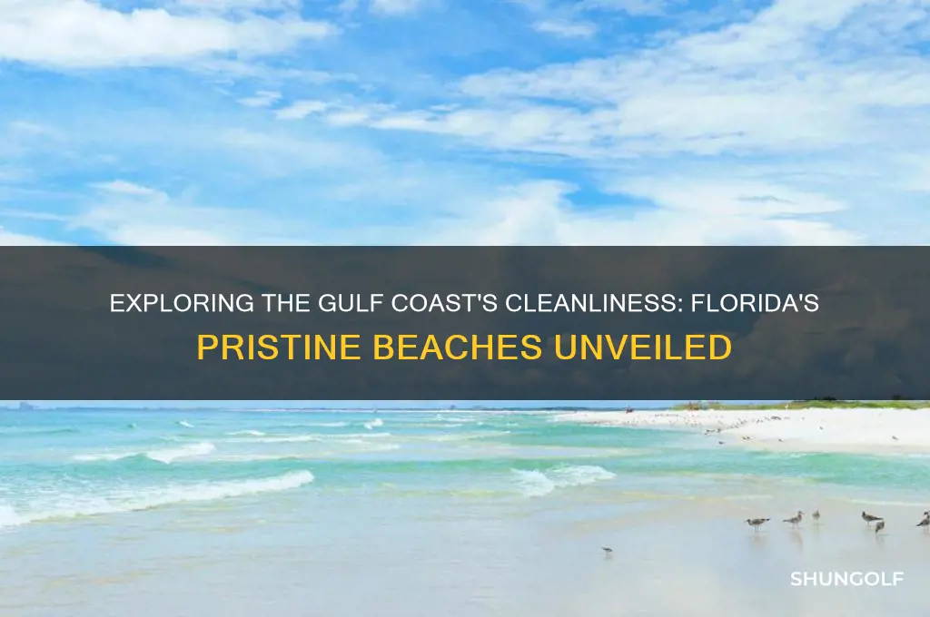 how clean is the golf coast in fl