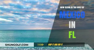 Exploring the Gulf of Mexico's Water Quality in Florida