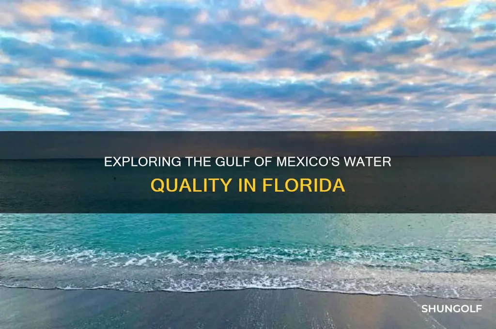 how clean is the golf of mexico in fl