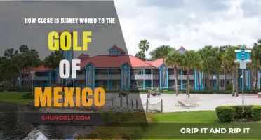Disney World's Proximity to the Gulf of Mexico: A Quick Guide