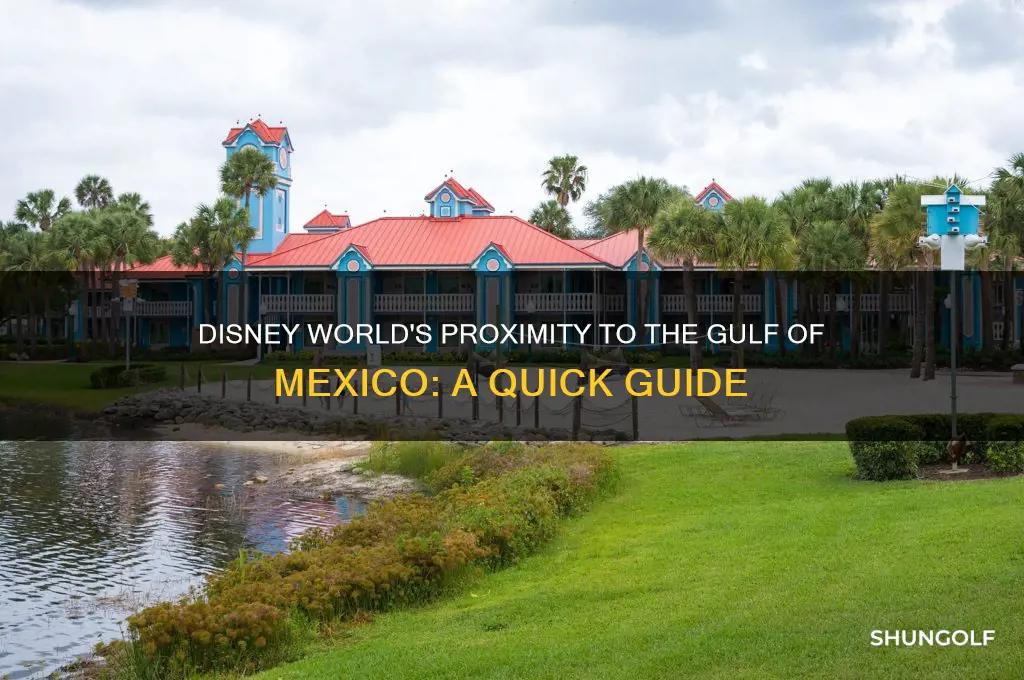 how close is disney world to the golf of mexico