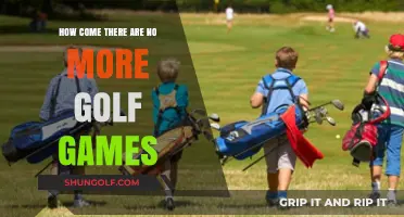 The Decline of Golf Games: Exploring the Disappearance of a Gaming Niche