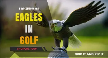 Golf Eagles: How Rare Are They?
