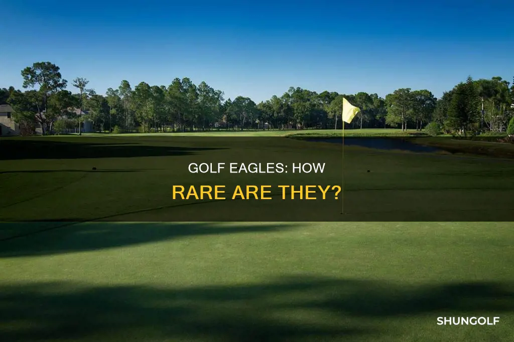 how common are eagles in golf