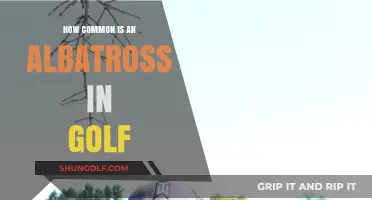 How Often Do Golfers Score an Albatross? Unveiling the Rarity
