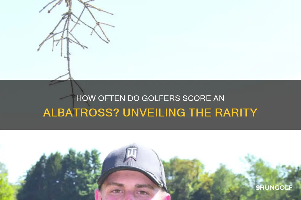 how common is an albatross in golf
